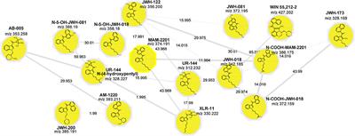 Molecular Networking: A Useful Tool for the Identification of New Psychoactive Substances in Seizures by LC–HRMS